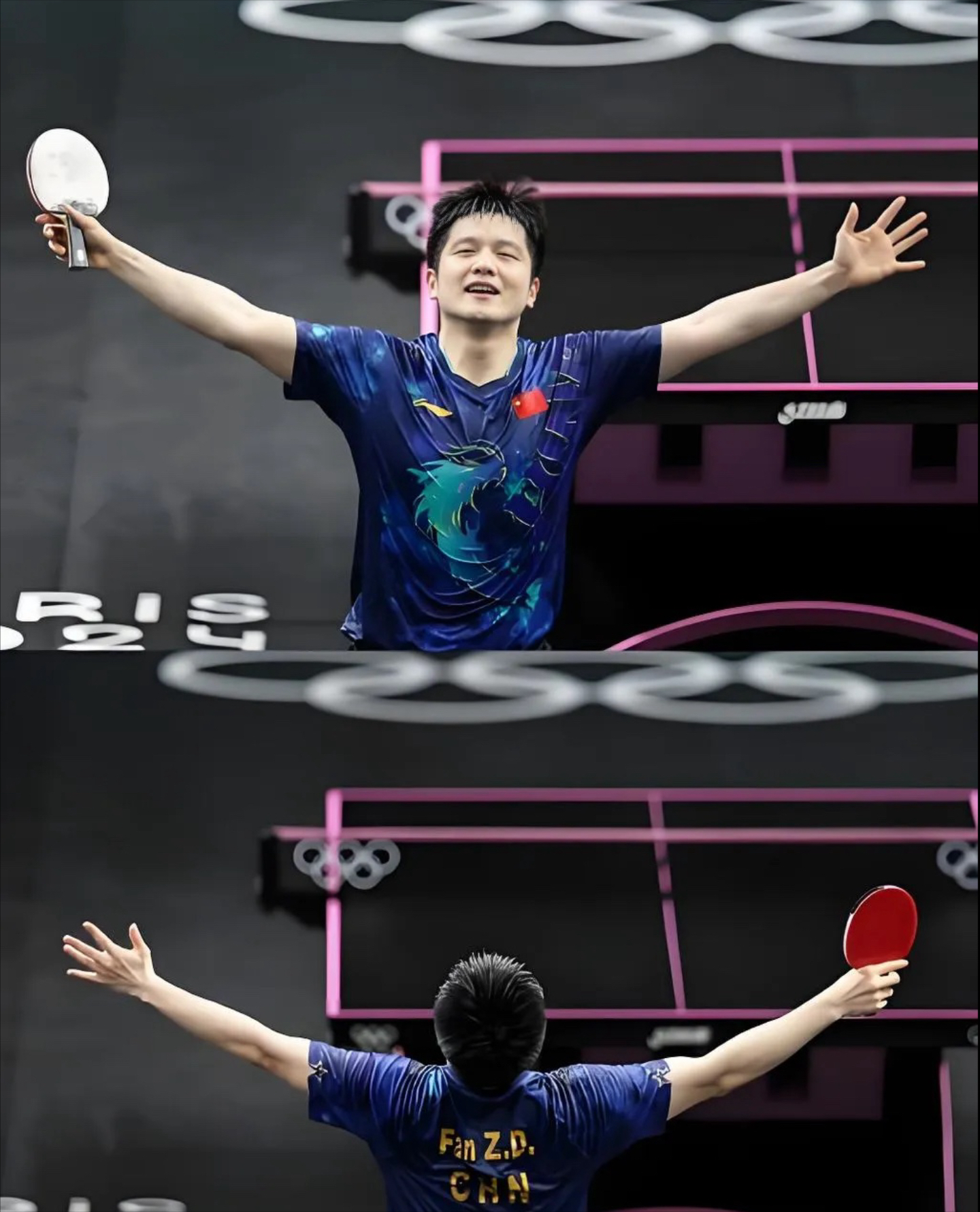 瑞典队轻取奥地利队,樊振东点燃赛场 瑞典队轻取奥地利队,樊振东点燃赛场