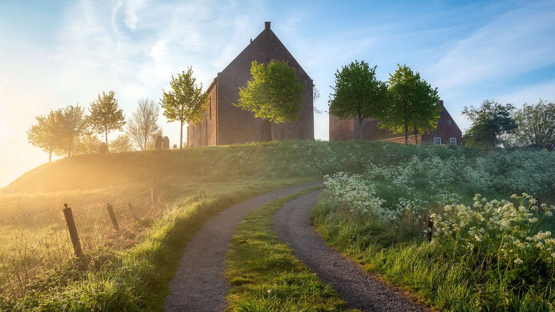 友谊赛奇观,佩德里转会埃及,连续灵光击穿多特蒙德