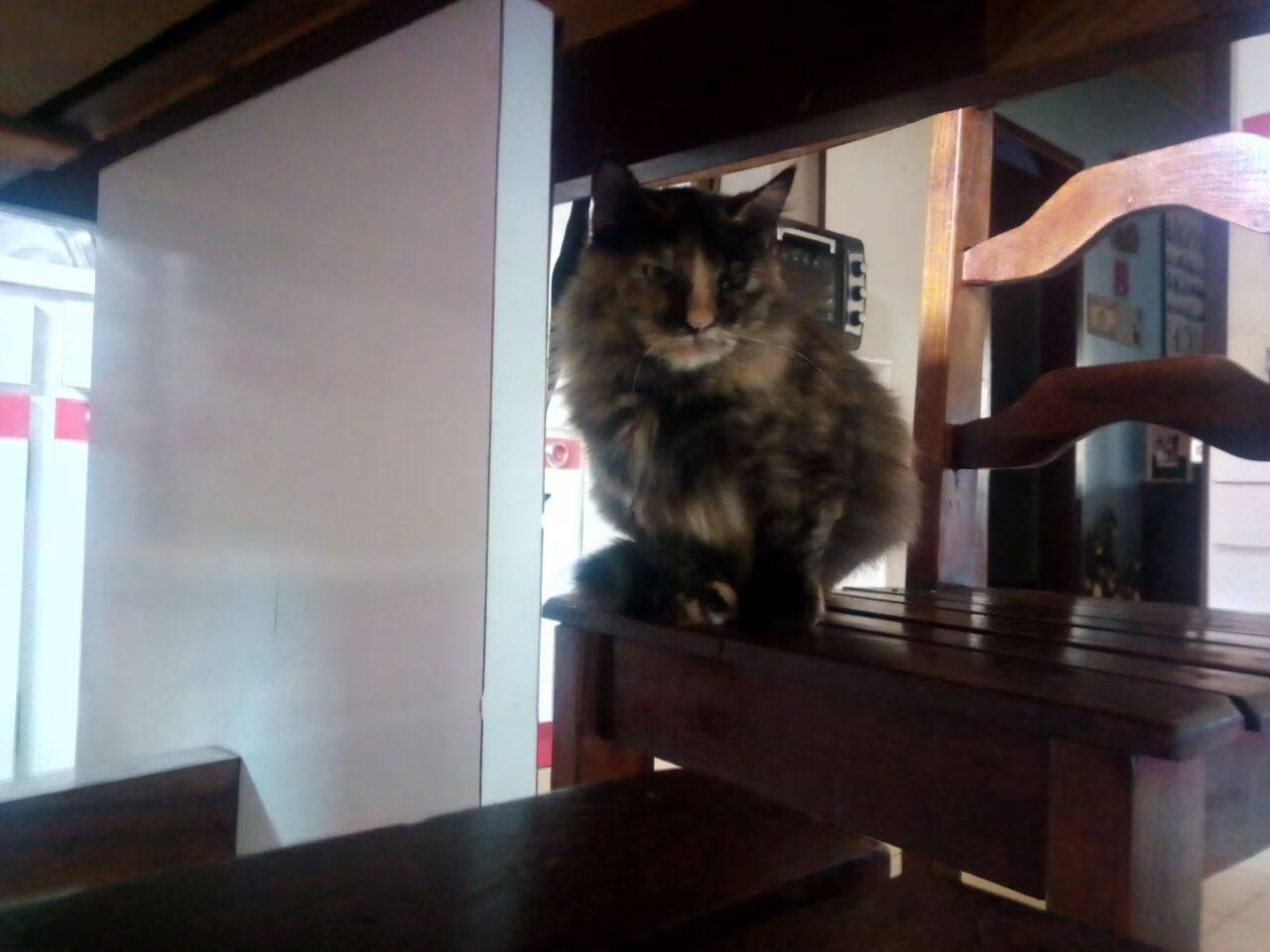 外科手术刀般撕裂!门迪西决生死战之夜上演单骑破阵奇迹