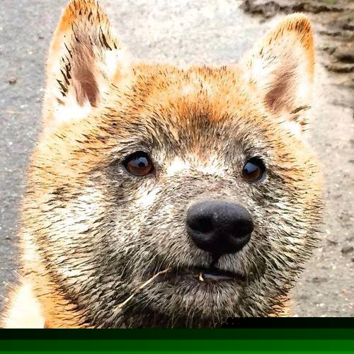 友谊之光穿越硝烟，一场为和平而战的特殊比赛，莫德里奇用爆炸数据告慰足球的纯粹