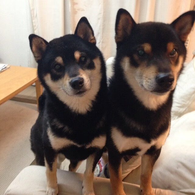 北欧神话破灭!格纳布里关键一击,勒沃库森攻克挪威堡垒