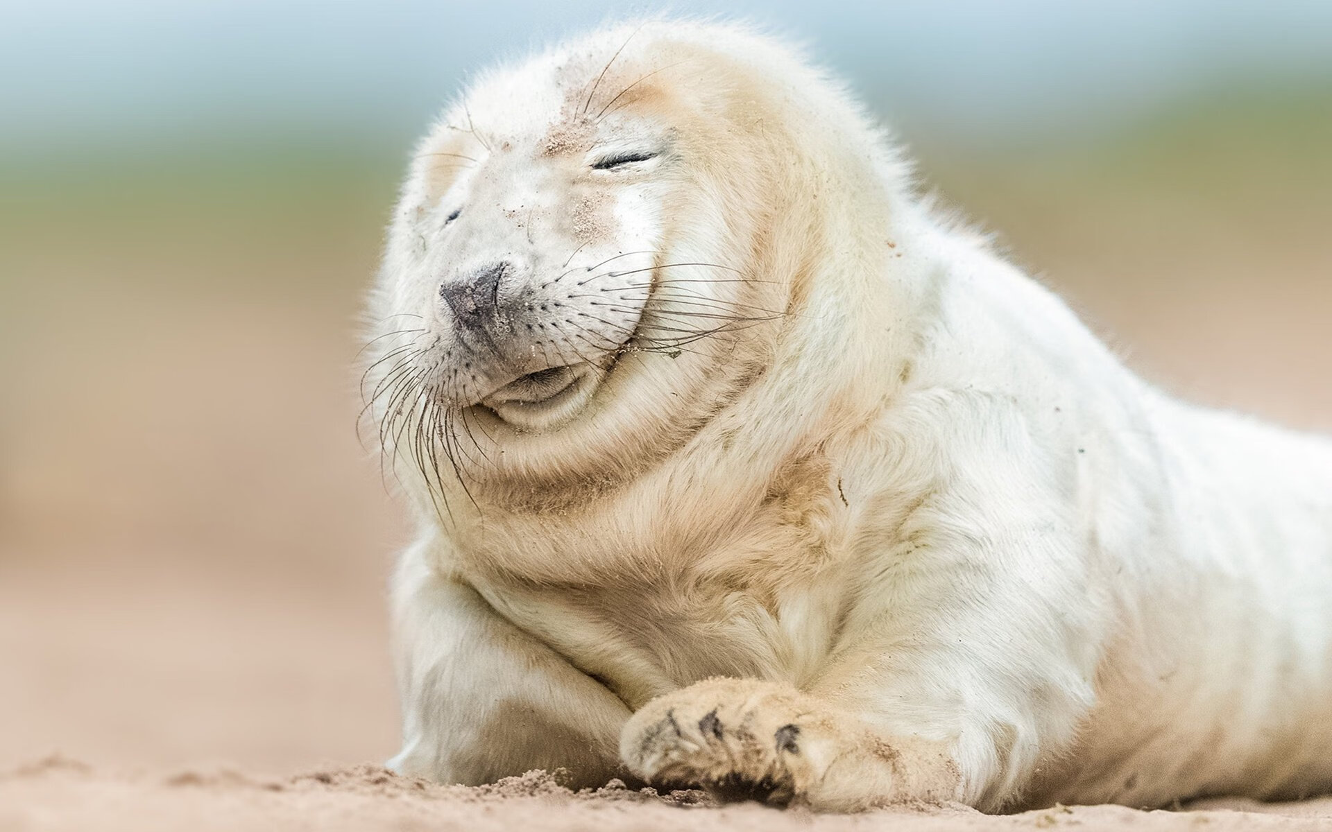 数据之外,逆袭之中,基耶萨的火光如何照亮尼斯的南美征途