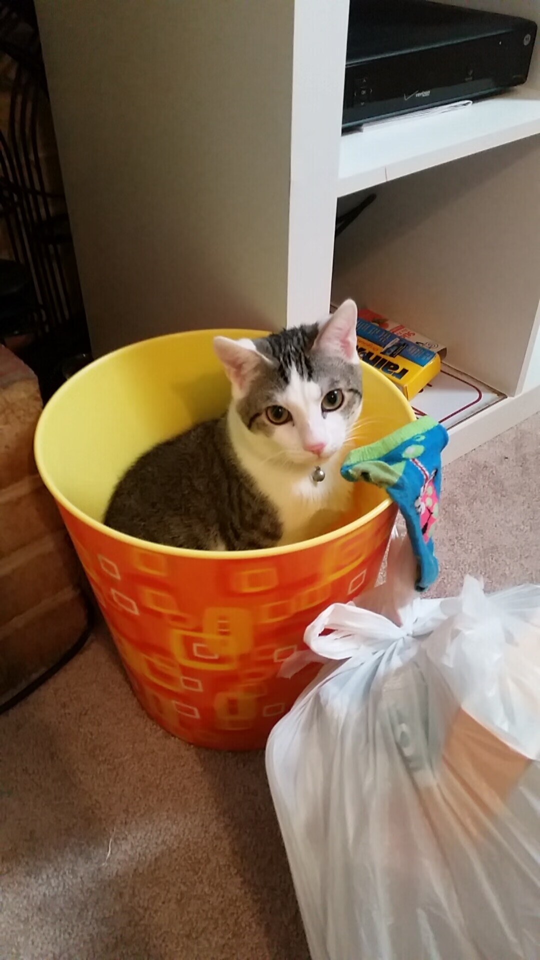 永恒与意外，当托尼的利刃刺穿时间，里昂的狂想曲震动欧洲