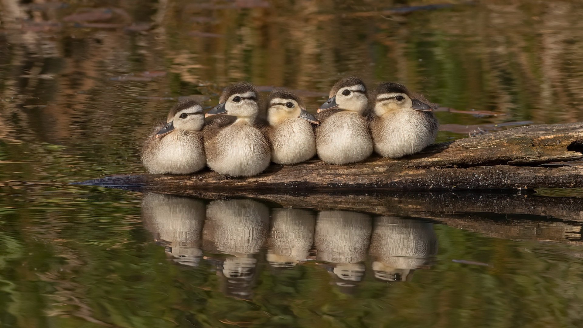 加维一锤定音!牙买加爆冷力克里昂,历史性杀入淘汰赛