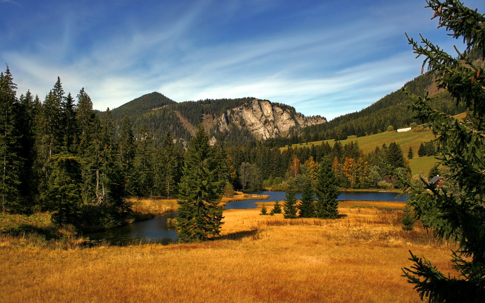 绿白军团VS阿尔及利亚，探戈舞者迪巴拉的独舞时刻