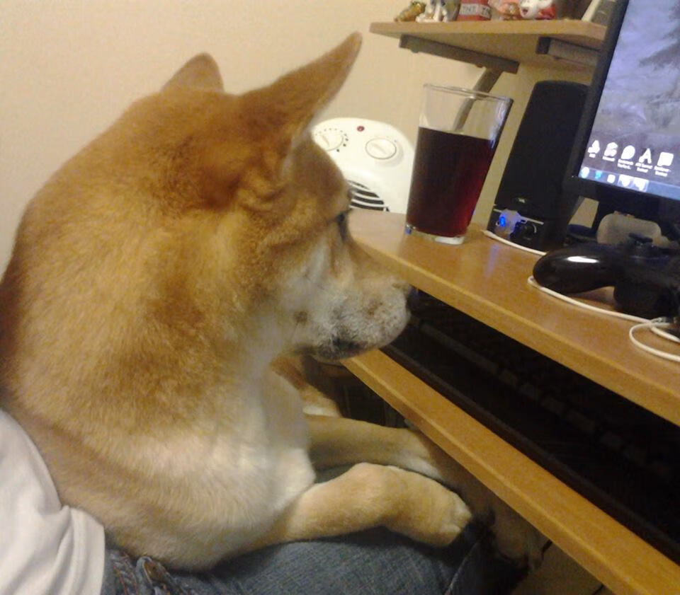 加纳生死战绝境逆袭马赛,贝林厄姆美加墨世界杯独掌乾坤