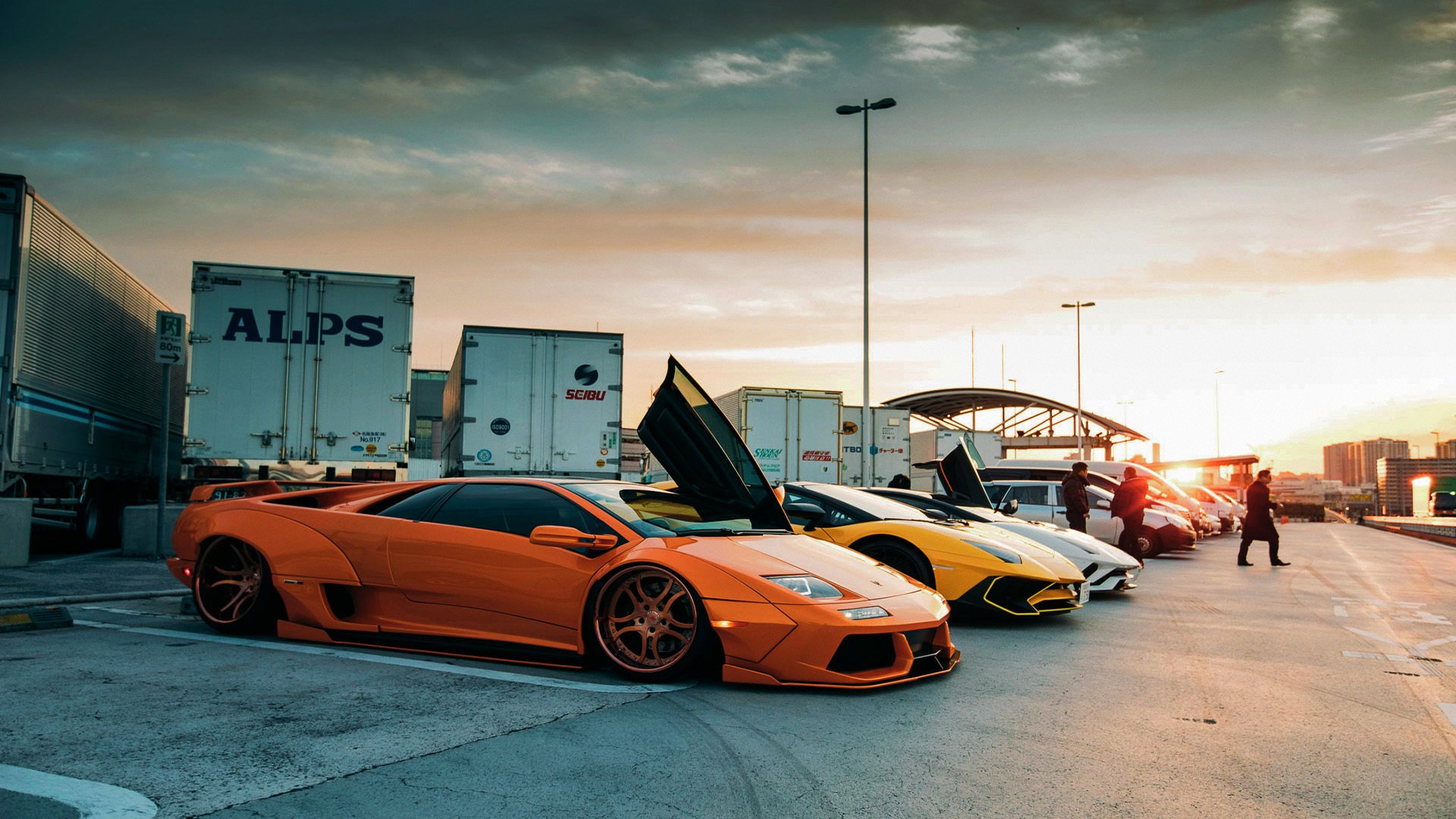 铁血澳洲撞碎武士刀，佩德里全程高能却难挽日本败局