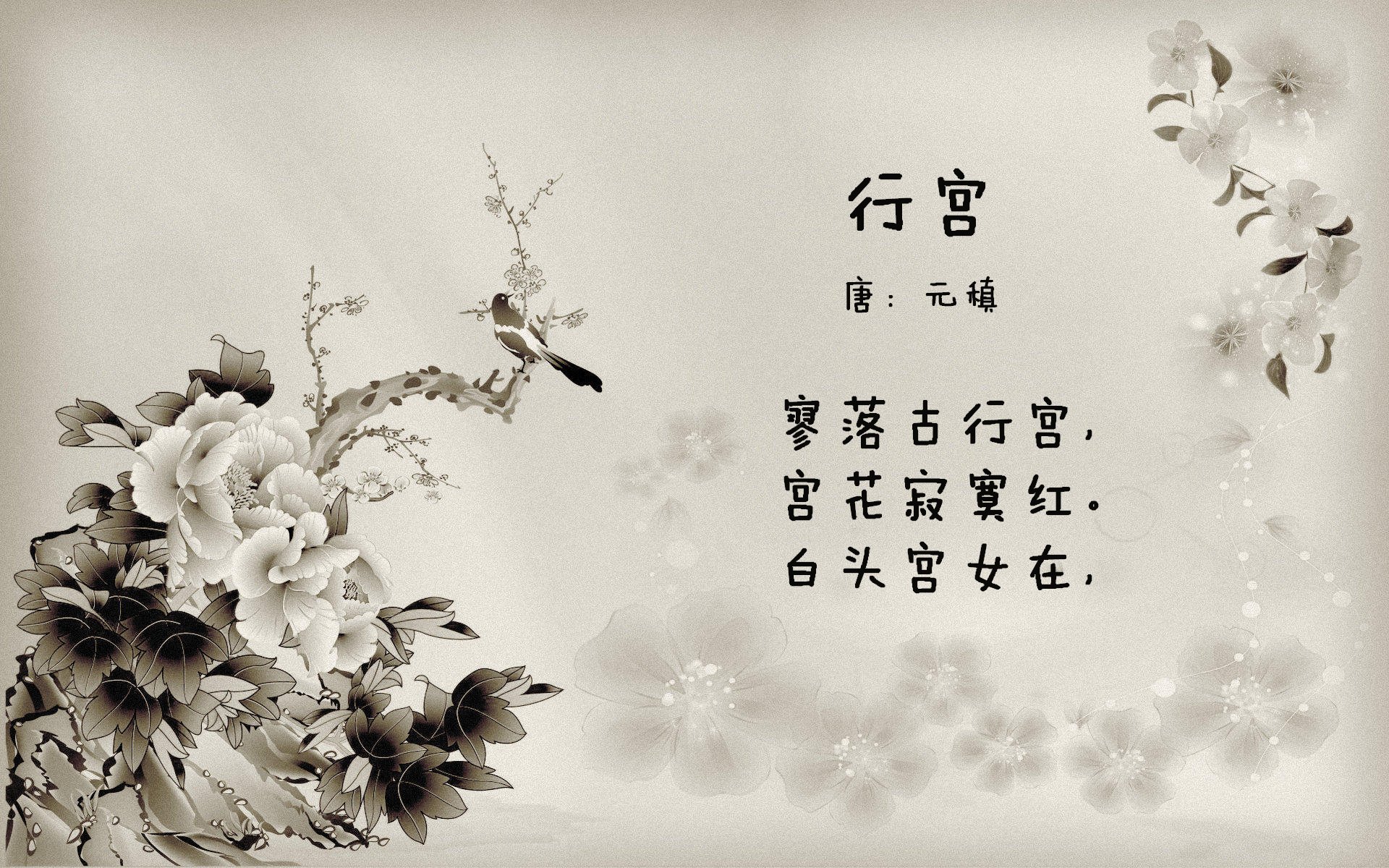 伦纳德化身进攻终结点，森林狼防线在颤抖中溃败