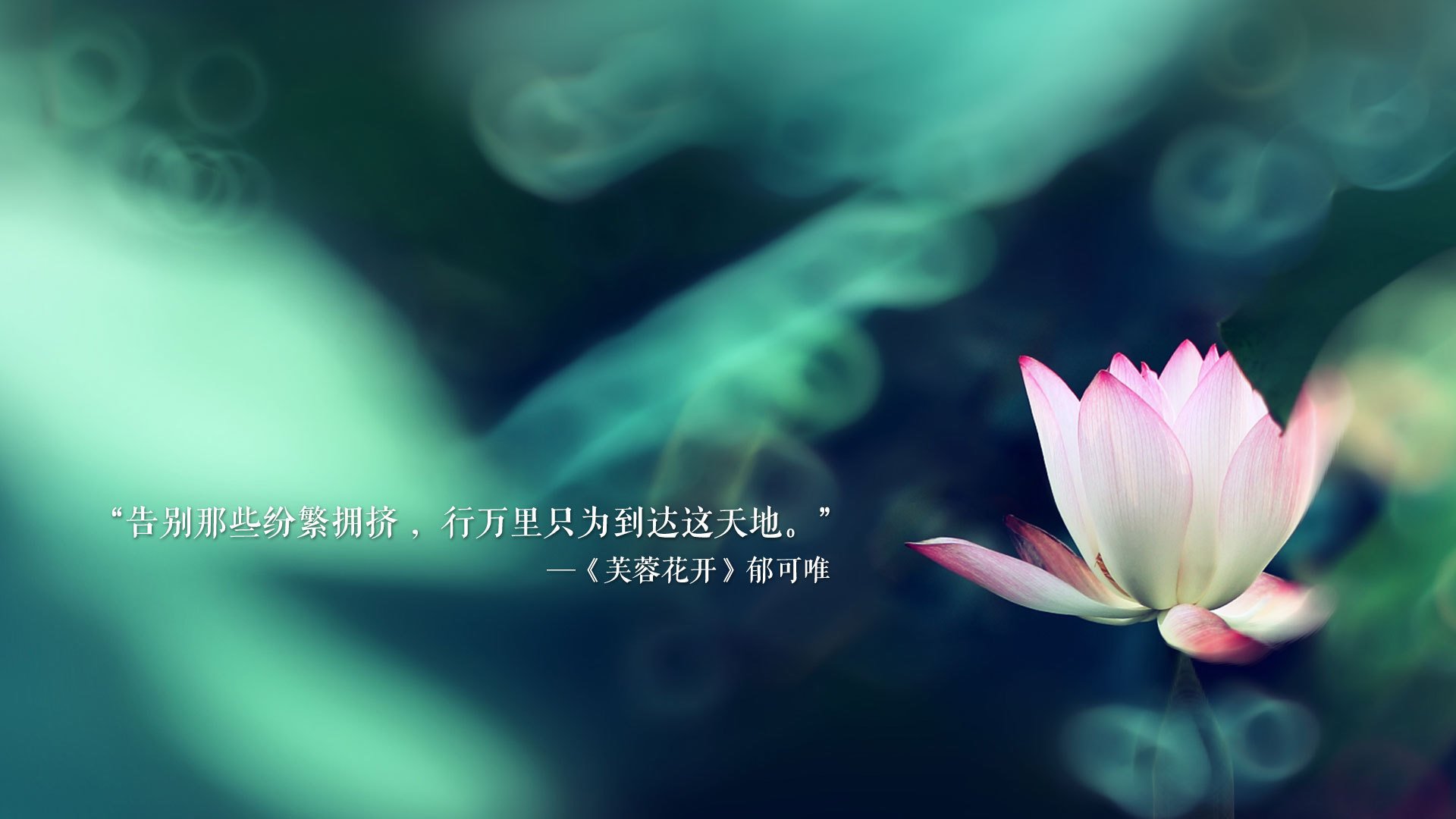 卡拉斯科一剑封喉，挪威的坚韧与克罗地亚的遗憾