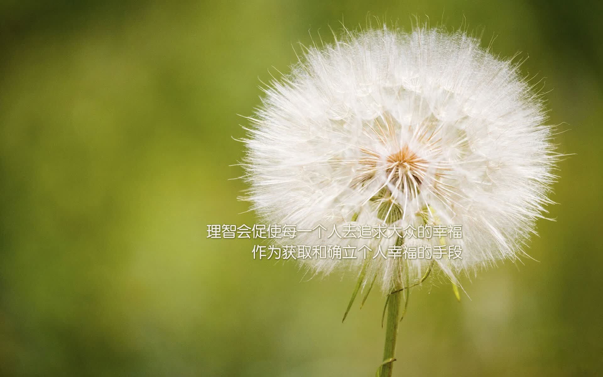 橙色风暴与叹息之墙，当荷兰的碾压美学，遇上库尔图瓦的唯一性时刻